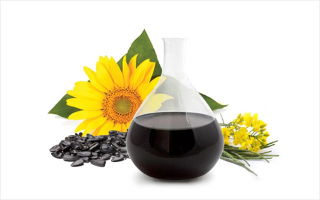 Concentrate phosphatide