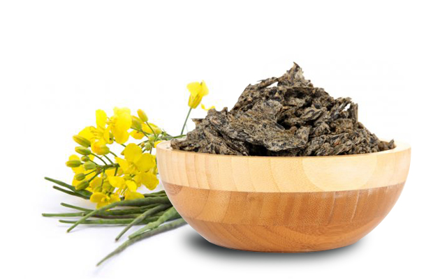 Toasted rapeseed meal